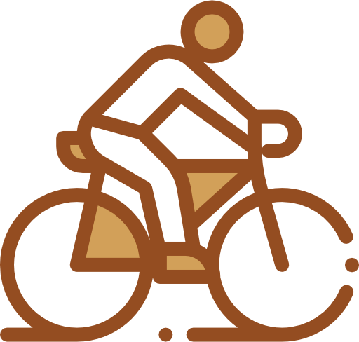 Motoquad, Bicycle, Buggy